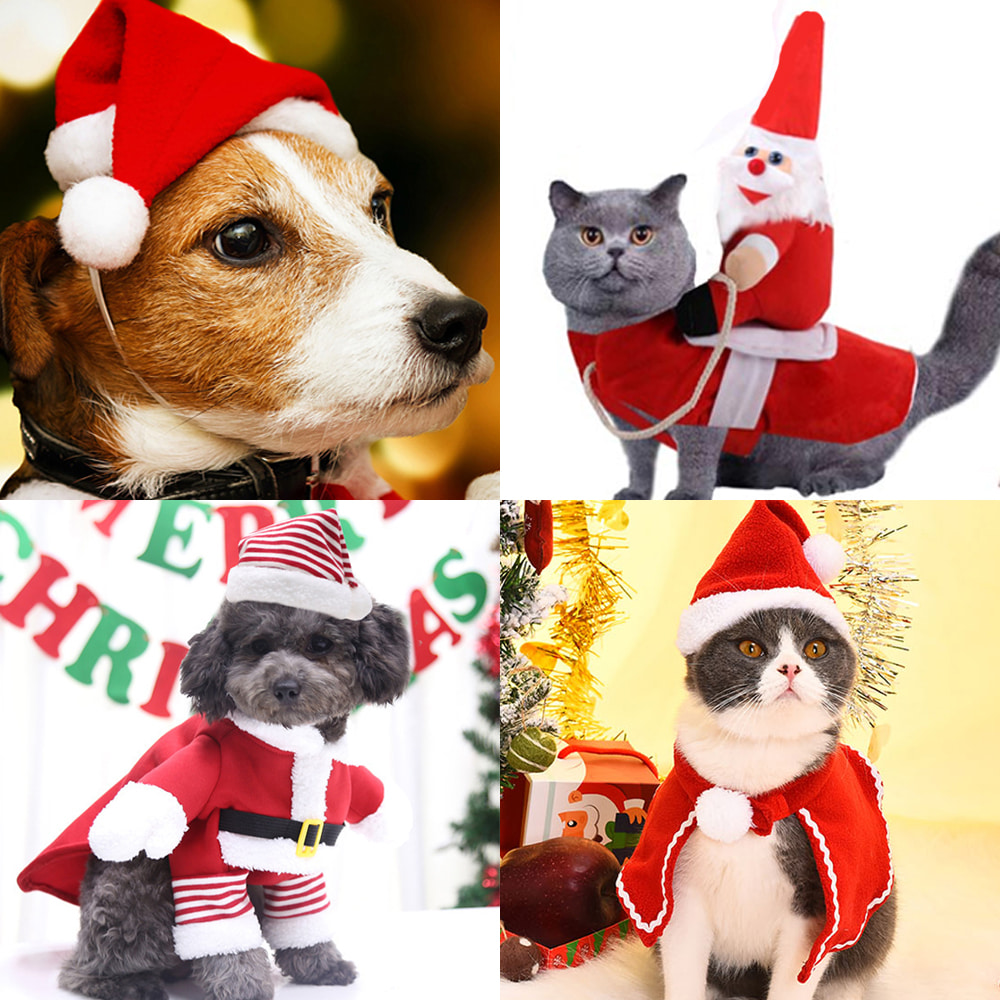 모아 크리스마스 강아지 고양이 산타 모자 루돌프 망토 애견 대형견 반려견 트리 반려 동물